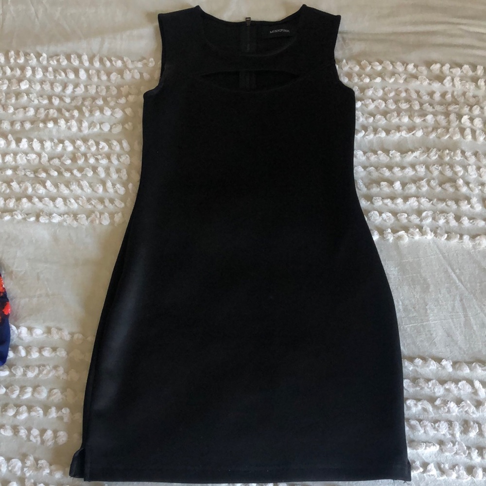 Mink pink black dress